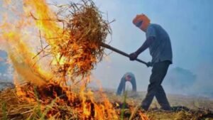 Haryana में पराली जलाने पर रोक बेअसर, मामलों में सात गुना उछाल