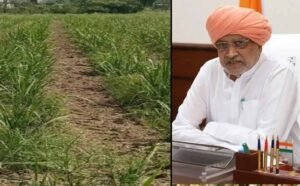 हरियाणा के गन्ना किसानों को बड़ा तोहफा: चौड़ी कतार रोपण पर ₹5000 प्रति एकड़ की सहायता