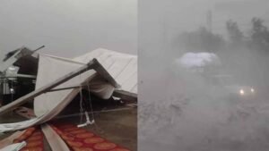 हरियाणा में आंधी का कहर, 340 बिजली खंभे और 50 ट्रांसफार्मर धराशायी
