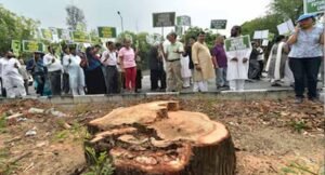 हिसार का 63 करोड़ का डबल लूप इंटरचेंज प्रोजेक्ट अटका, हाईकोर्ट ने पेड़ कटाई पर लगाई रोक