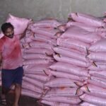 खरीफ में धान सहित दलहन-तिलहन फसलों में परम्परागत खाद के साथ वैकल्पिक खाद एवं नैनो यूरिया व डीएपी के उपयोग को दिया जा रहा बढ़ावा