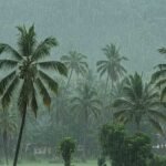 केरल में मॉनसून की रफ्तार धीमी, मौसम विभाग ने बताई देरी की वजह