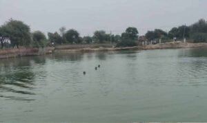 जींद में नहरों में नहाने पर पाबंदी, बढ़ते हादसों के बीच पुलिस ने जारी की एडवाइजरी