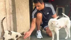 स्ट्रे डॉग्स के समर्थन में आए Sonu Sood, बोले- ‘इन्हें घर और हक दोनों देने होंगे’