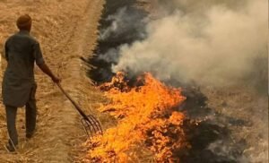 फरीदकोट में सख्त आदेश: पराली जलाने पर रोक के लिए अधिकारियों-कर्मचारियों को नई जिम्मेदारी