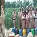 गुरदासपुर में अवैध शराब कारोबार पर बड़ी कार्रवाई, छापेमारी में भारी मात्रा में लाहन और शराब बरामद
