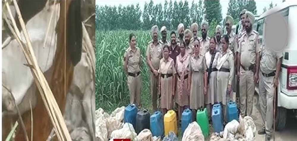 गुरदासपुर में अवैध शराब कारोबार पर बड़ी कार्रवाई, छापेमारी में भारी मात्रा में लाहन और शराब बरामद