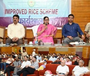 छत्तीसगढ़ में ‘इम्प्रूव्ड राईस स्कीम’ लागू करने की तैयारी तेज