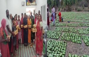 तेन्दूपत्ता से बदली जिंदगी, बढ़ी आय और सम्मान बढ़ी आय और सम्मान