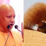 प्रदेश में गेहूं खरीद ने पकड़ी रफ्तार, 28 अप्रैल तक 6.10 लाख मीट्रिक टन गेहूं की खरीद