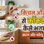 कॉकरोच भगाने के सबसे असरदार घरेलू उपाय