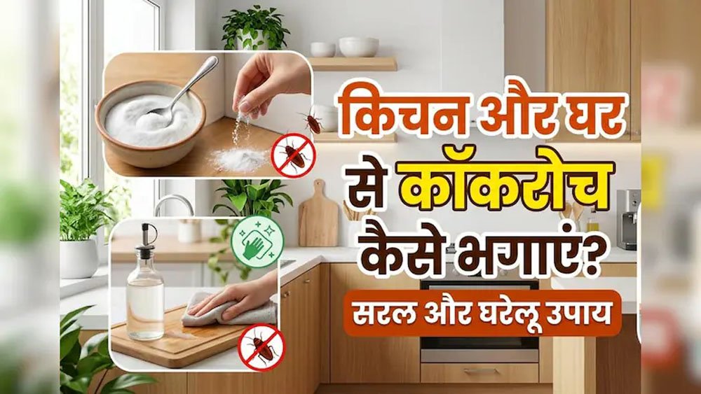 कॉकरोच भगाने के सबसे असरदार घरेलू उपाय