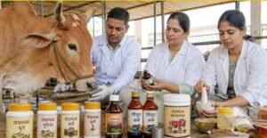 गो संरक्षण विशेष : यूपी की पंचगव्य थेरेपी देगी भारतीय चिकित्सा पद्धति को नई दिशा