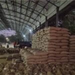MP में रिकॉर्ड गेहूं खरीदी! 13.36 लाख किसानों से 103 लाख मीट्रिक टन उपार्जन