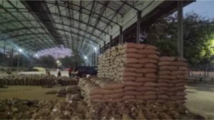 MP में रिकॉर्ड गेहूं खरीदी! 13.36 लाख किसानों से 103 लाख मीट्रिक टन उपार्जन