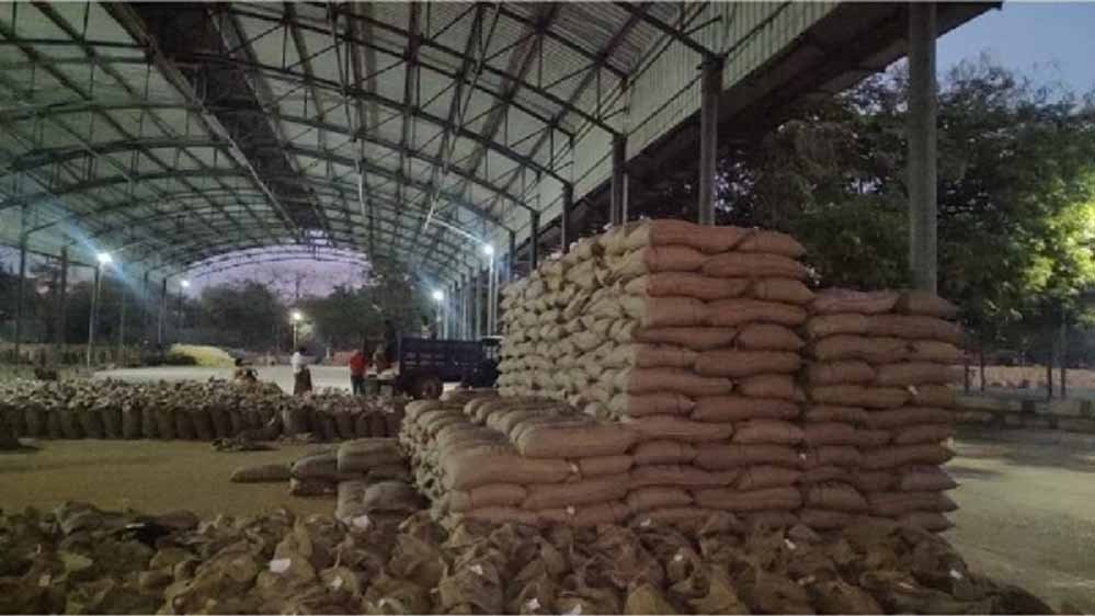 MP में रिकॉर्ड गेहूं खरीदी! 13.36 लाख किसानों से 103 लाख मीट्रिक टन उपार्जन