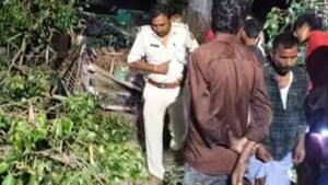 बिहार में बदला मौसम बना काल: तेज आंधी से कच्चे मकान पर गिरा पेड़, मां समेत 5 की जान गई