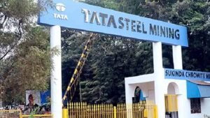 टाटा स्टील की 2030 रणनीति, 50% लौह अयस्क अब भी अपनी खदानों से लेने का लक्ष्य