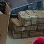 राजस्थान बीज निगम घोटाले में एसीबी की बड़ी कार्रवाई, 2.44 करोड़ नकद बरामद और कई गिरफ्तार