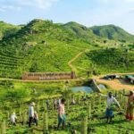 सोनभद्र की छह पहाड़ियों पर ट्रेंच तकनीक से बड़े पैमाने पर पौधारोपण की तैयारी