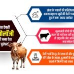 डेनिश डेयरी टेक्नोलॉजी से देसी गायों के दूध के उत्पाद बना यूपी बना देश का ‘धुरंधर’