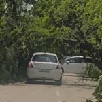 पंजाब-चंडीगढ़ में आंधी-बारिश का कहर: 3 मौतें, 850 बिजली खंभे और 129 ट्रांसफार्मर क्षतिग्रस्त