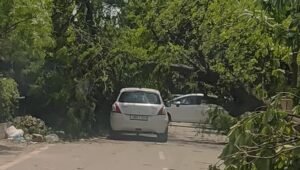 पंजाब-चंडीगढ़ में आंधी-बारिश का कहर: 3 मौतें, 850 बिजली खंभे और 129 ट्रांसफार्मर क्षतिग्रस्त