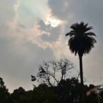 झारखंड में आज बारिश और वज्रपात का अलर्ट, कई जिलों में तेज हवाएं चलने की संभावना