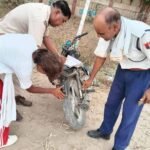 राजस्थान में ट्रैफिक नियमों पर सख्ती, एक दिन में 9,700 से अधिक वाहनों पर कार्रवाई