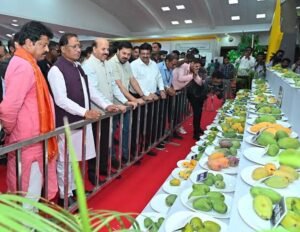 धनबाद आमोत्सव में दिखा जापानी मियाज़ाकी आम का क्रेज, कीमत 3 लाख रुपये किलो