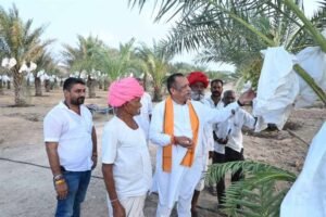पाली में मंत्री ने देखा प्राकृतिक खजूर बाग, किसान की 10 लाख आय