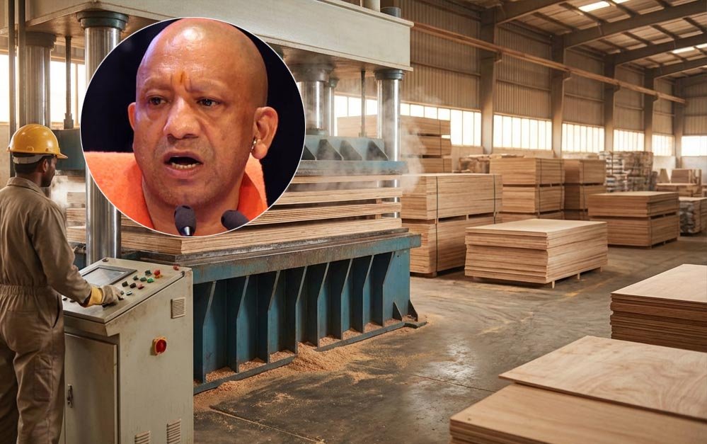 योगी सरकार प्लाईवुड उद्योग के लिए नई एग्रोफॉरेस्ट्री नीति पर कर रही विचार