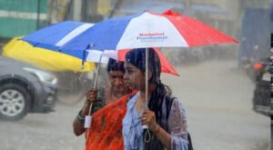 बालाघाट-रायसेन समेत 15 जिलों में आंधी-बारिश, 2 दिन में MP में मानसून की एंट्री के आसार