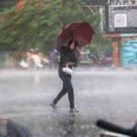 MP Weather: मध्य प्रदेश के 43 जिलों में आज बारिश का अलर्ट, मानसून की रफ्तार धीमी; ग्वालियर-चंबल को करना होगा इंतजार