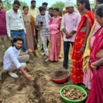 ​धमतरी का ‘नगरी’ बनेगा हल्दी उत्पादन का नया हब: 250 किसानों ने थामा वैज्ञानिक खेती का हाथ, 250 टन पैदावार का लक्ष्य