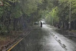 MP Weather: भोपाल-सीहोर समेत कई इलाकों में बारिश, 50 जिलों में अलर्ट; खरगोन में आकाशीय बिजली से 2 की मौत