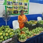 रांची में नाबार्ड आम महोत्सव शुरू, आदिवासी किसानों के ऑर्गेनिक आमों की धूम