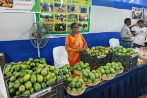 रांची में नाबार्ड आम महोत्सव शुरू, आदिवासी किसानों के ऑर्गेनिक आमों की धूम