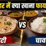गर्मी में चावल या रोटी? एक्सपर्ट्स ने बताया दोपहर के लिए क्या है बेहतर विकल्प