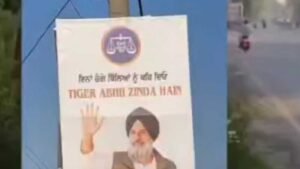 मजीठा में पोस्टर वॉर तेज: ‘भगोड़ा’ के जवाब में लगे ‘टाइगर अभी जिंदा है’ के पोस्टर
