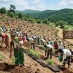 पर्यावरण दिवस पर यूपी ने पूरा किया 5 करोड़ पौधे लगाने का लक्ष्य