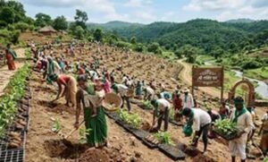पर्यावरण दिवस पर यूपी ने पूरा किया 5 करोड़ पौधे लगाने का लक्ष्य