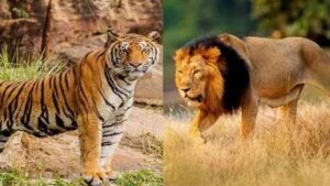 उदयपुर के जयसमंद क्षेत्र में ऐतिहासिक वन्यजीव क्षरण: एक अध्ययन