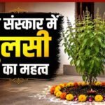 मृत्यु के बाद 13 दिन का रहस्य और तुलसी का महत्व, गरुड़ पुराण में छिपा जीवन का सच