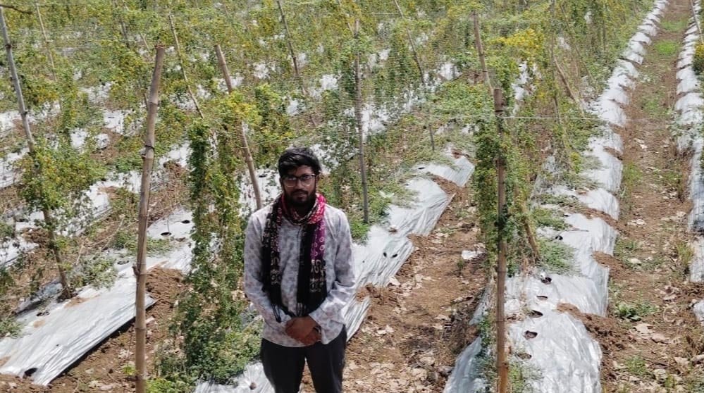 पारंपरिक खेती छोड़ करेले से बदली किस्मत, किसान दीपक ने कमाए 2.95 लाख रुपये का शुद्ध मुनाफा