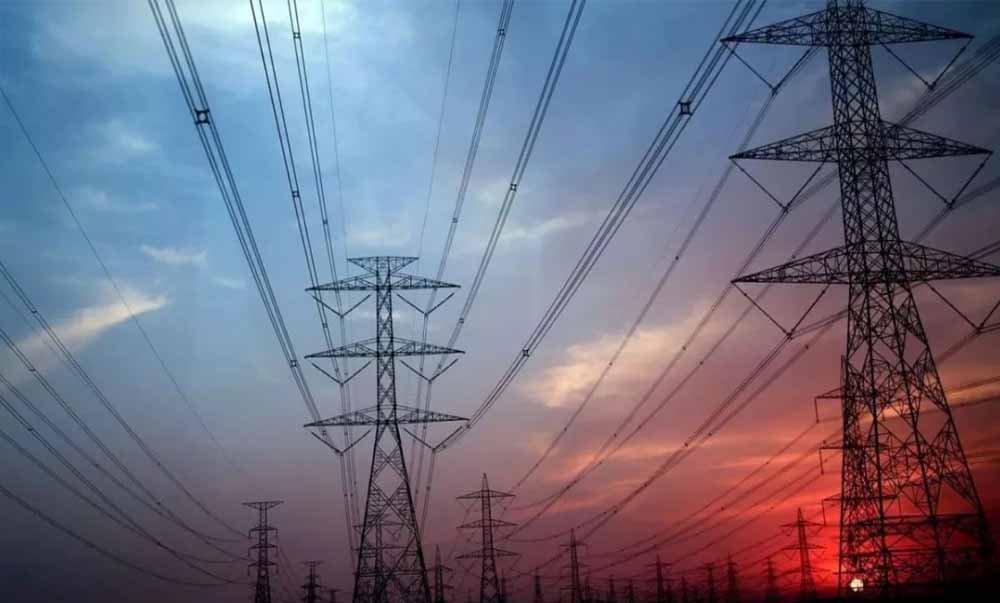 हाथी प्रभावित क्षेत्र में 33 केवी लाइन विस्तार पर हाईकोर्ट सख्त, सरकारों और बिजली कंपनी से मांगा जवाब