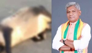 छत्तीसगढ़ गौ सेवा आयोग अध्यक्ष की कार से टकराई बाइक, पुलिस ने दो आरोपियों को दबोचा