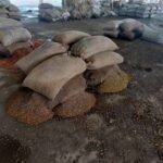 राजनांदगांव मंडी में जलभराव से हाहाकार, चबूतरों पर रखा धान भी भीगा