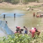 मत्स्य पालन बना ग्रामीण समृद्धि का सशक्त माध्यम