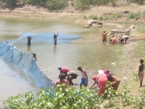 मत्स्य पालन बना ग्रामीण समृद्धि का सशक्त माध्यम